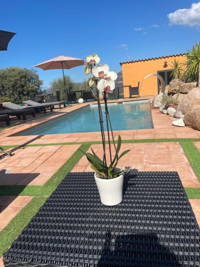 A Casa Di Jo Bed & Breakfast Calenzana Luaran gambar